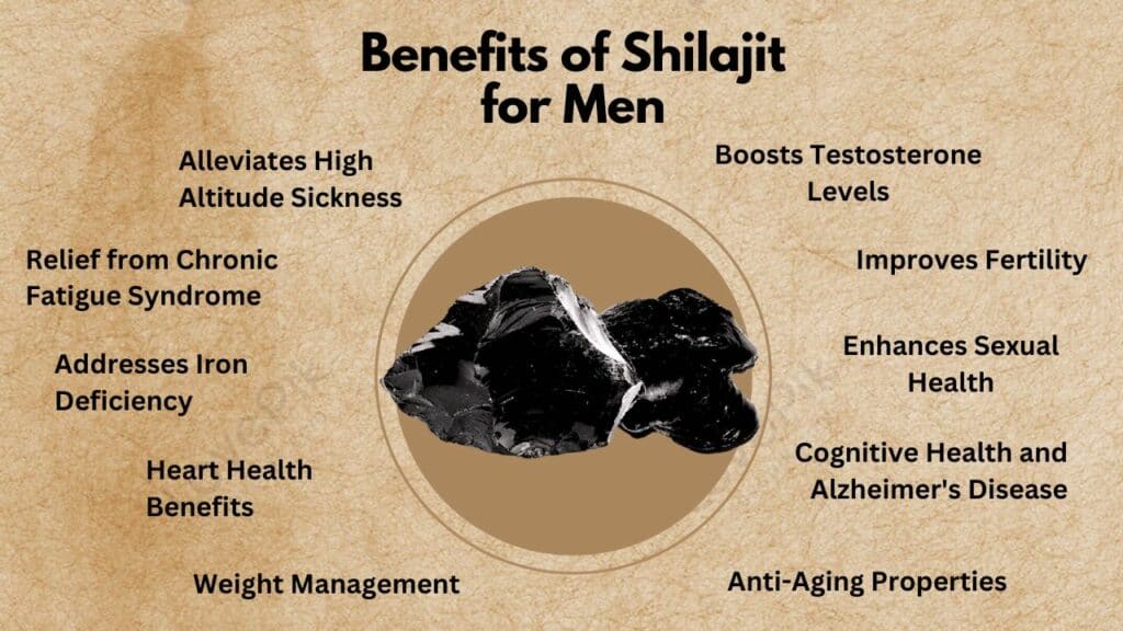 Pure 100% Himalayan Shilajit, Soft Resin, Organic, Extremely Potent, Fulvic Acid